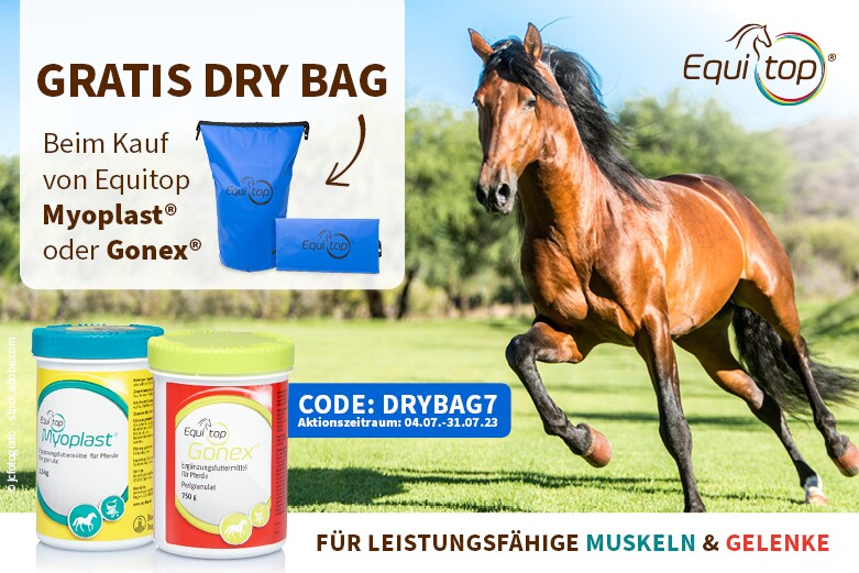 Equitop