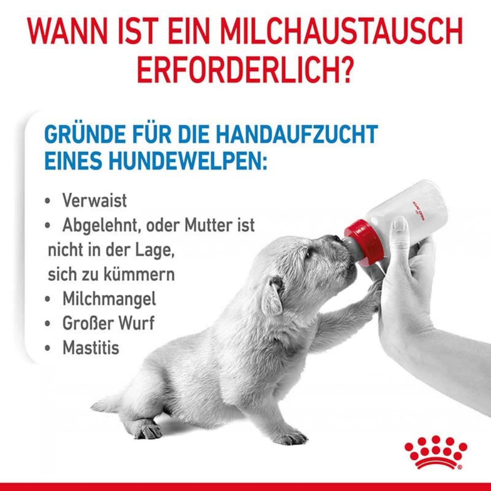 Royal Canin Babydog Milk Welpenmilch Hundewelpen von der Geburt bis zum Absetzen_5