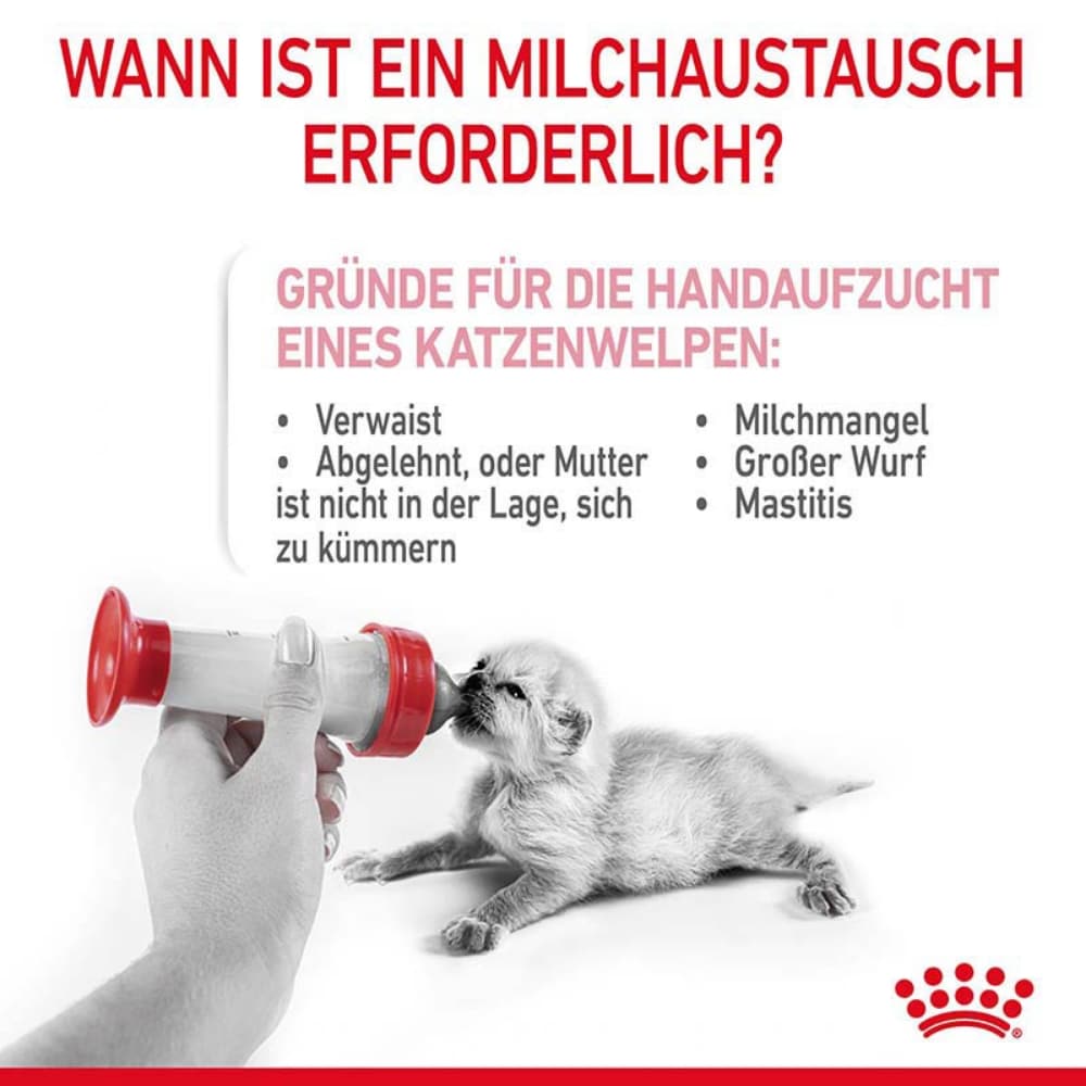 Royal Canin Babycat Milk Milchpulver als Ersatzmilch für die Ernährung von Katzenwelpen_5