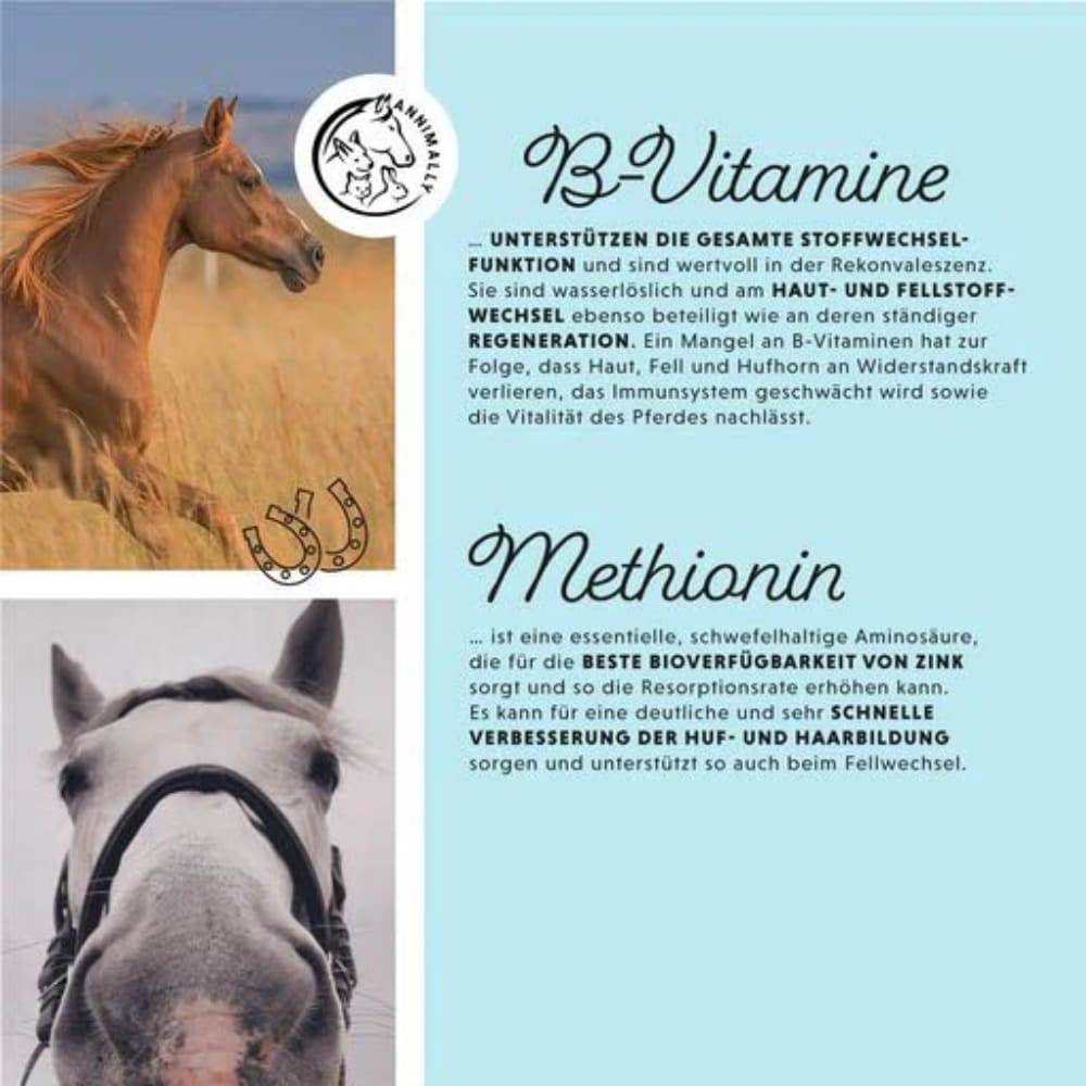 Annimally Biotin Liquid_5