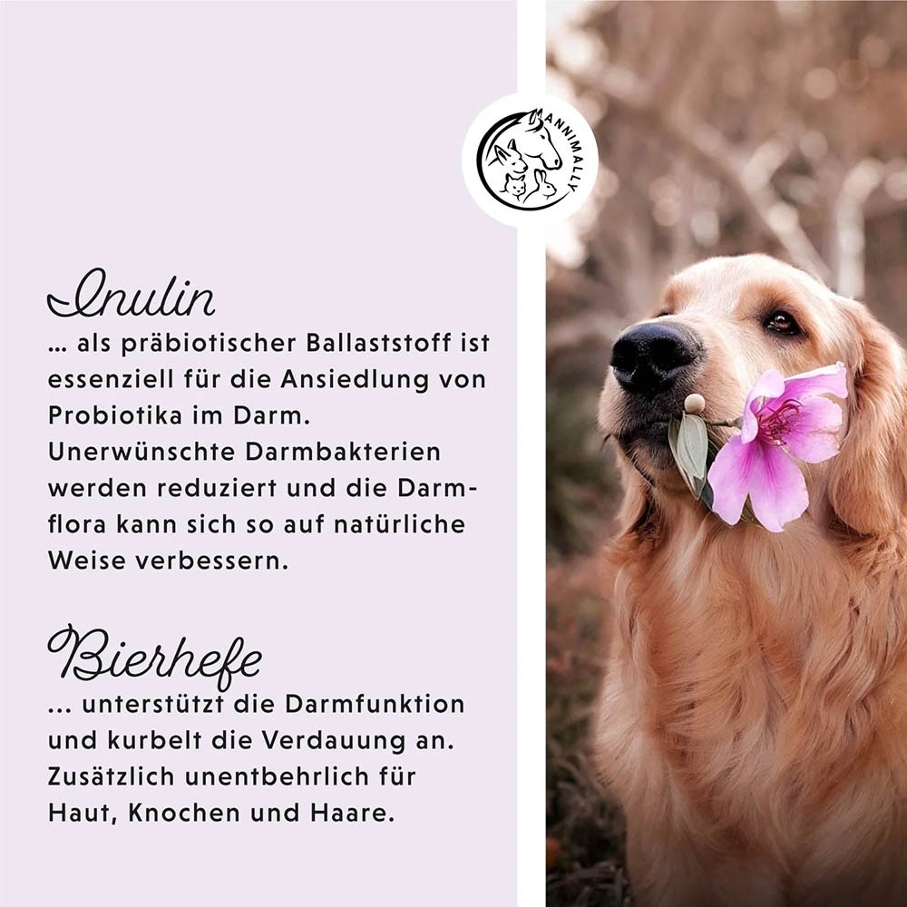 Annimally Colon Vital Tabletten_4