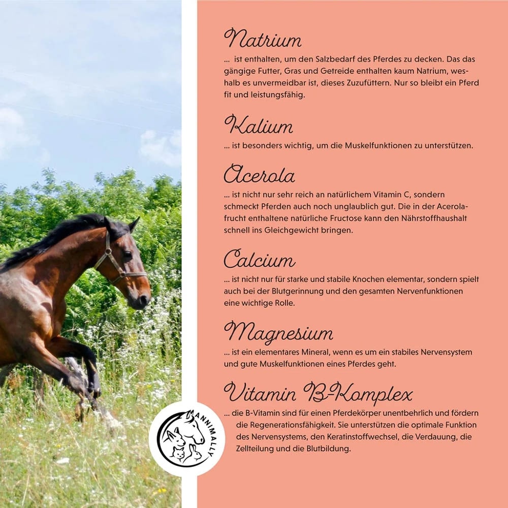 Annimally Elektrolyte Liquid_5