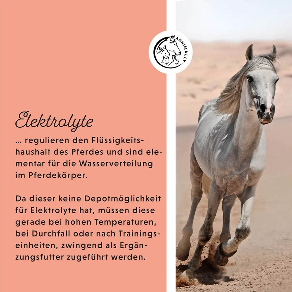 Annimally Elektrolyte Liquid_4