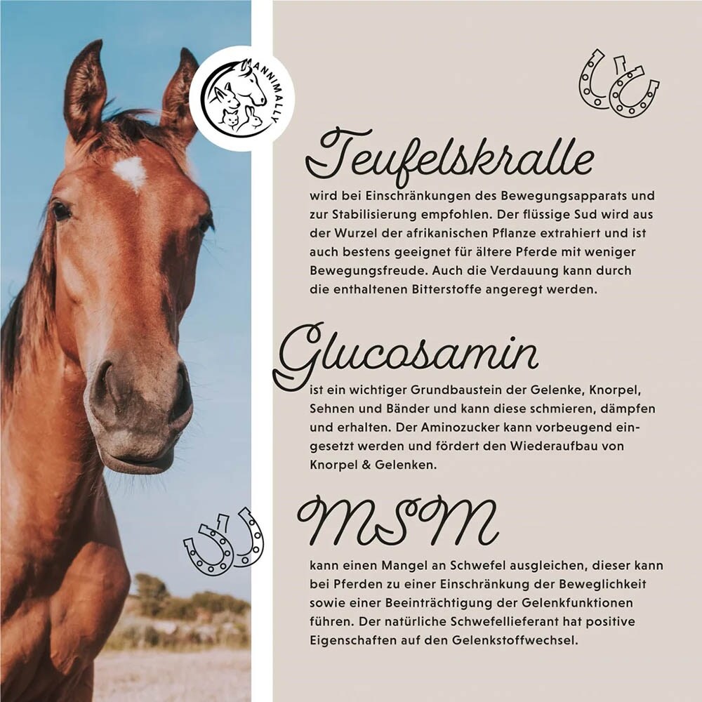 Annimally Gelenk Liquid_4