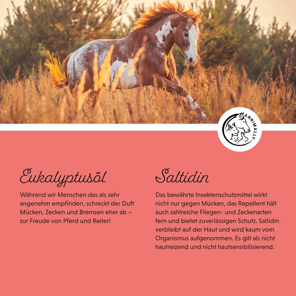 Annimally Insekten Stopp_5