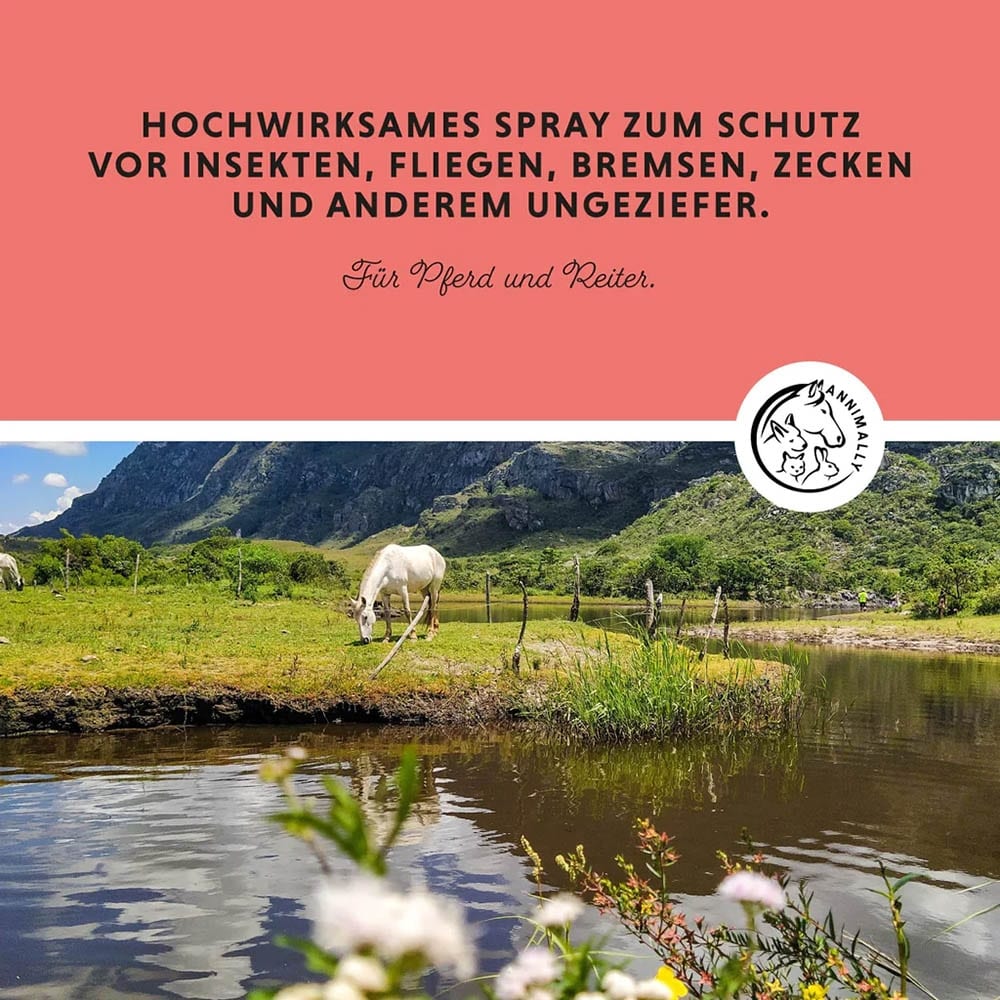 Annimally Insekten Stopp_3