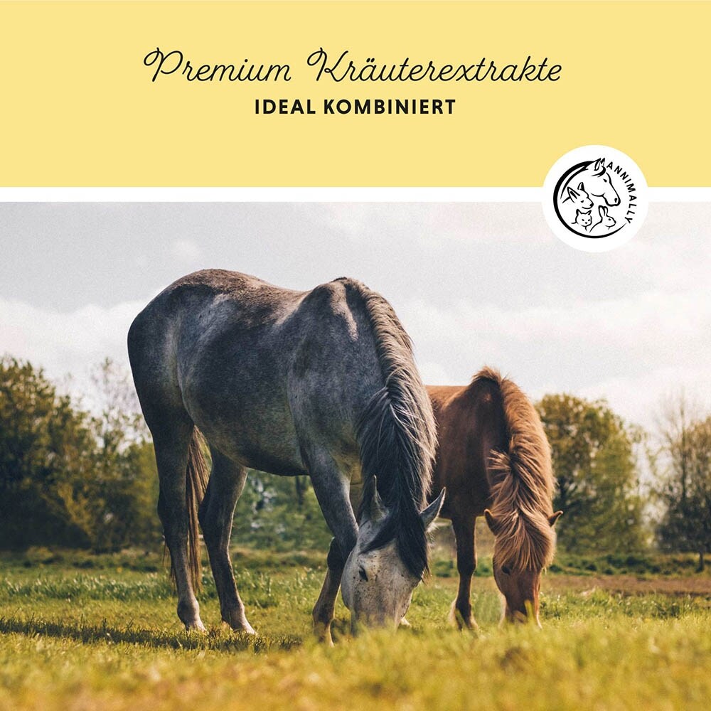 Annimally Leber-Nieren Liquid_3