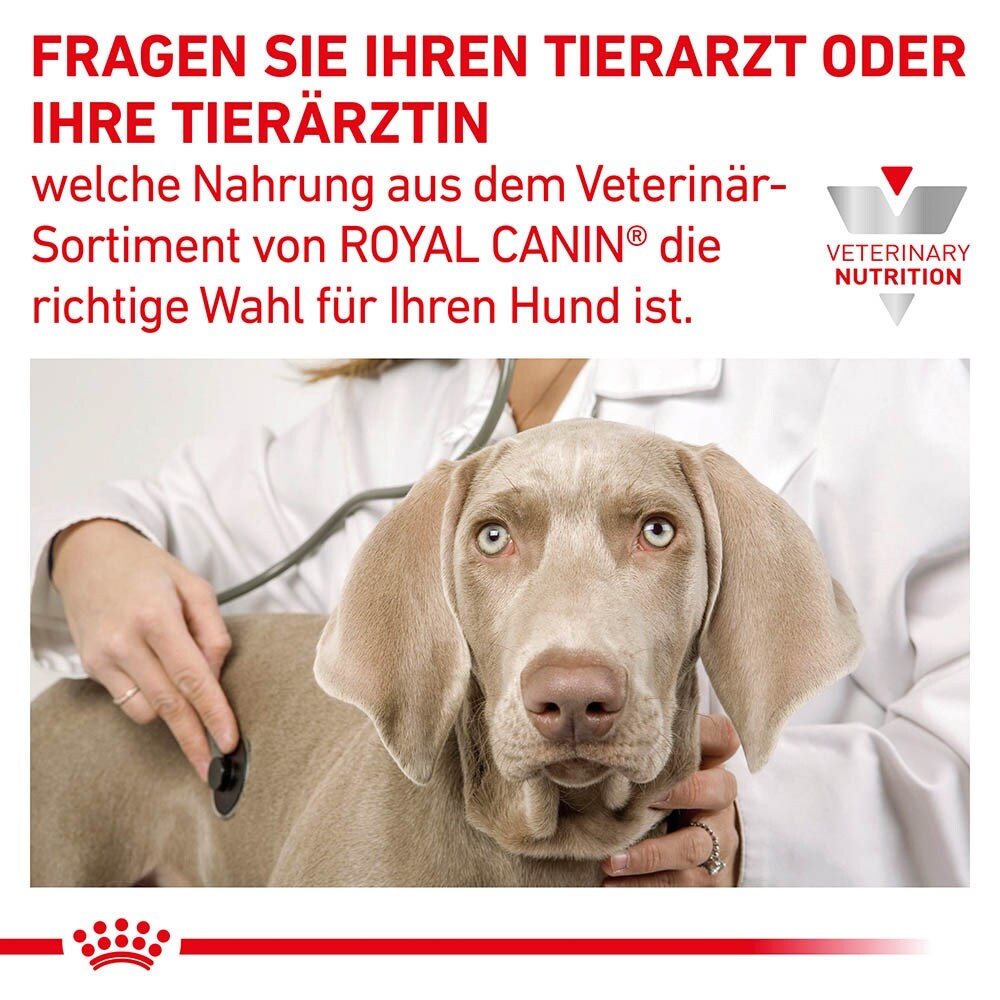 Royal Canin Gastrointestinal High Fibre Mousse Nassfutter für Hunde_7