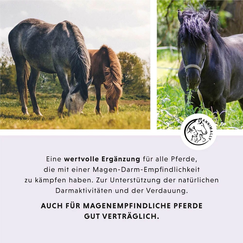 Annimally Magen-Darm Liquid_4