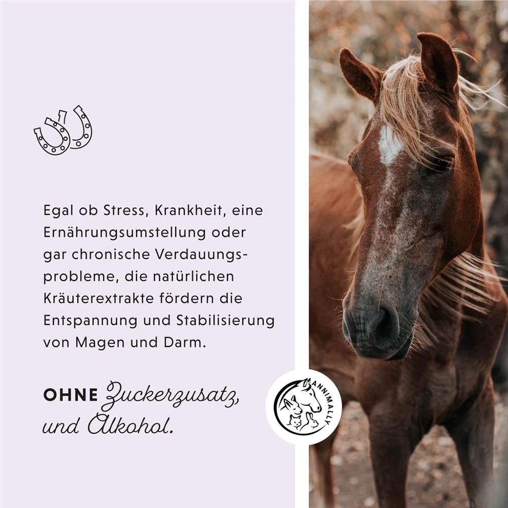 Annimally Magen-Darm Liquid_3