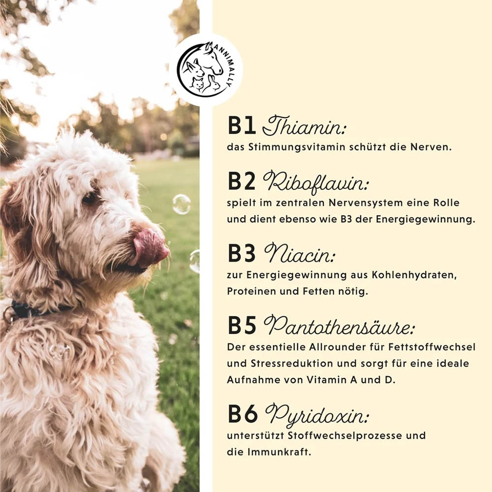 Annimally Vitamin B Komplex_4