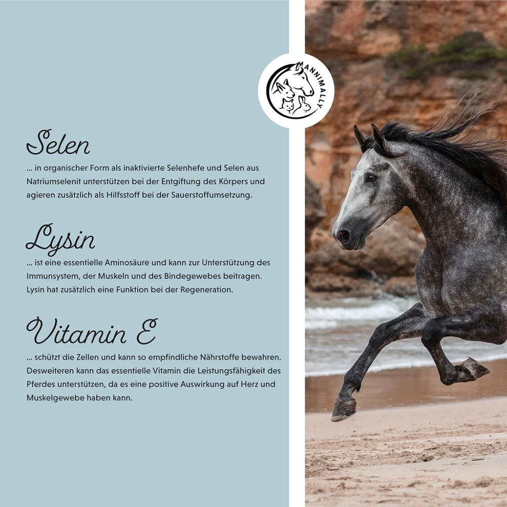 Annimally Vitamin E / Selen & Lysin_4