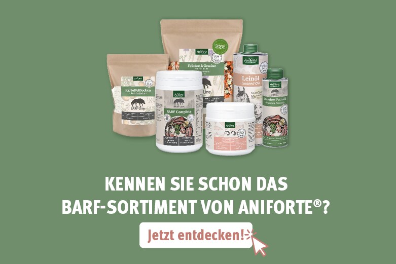 AniForte