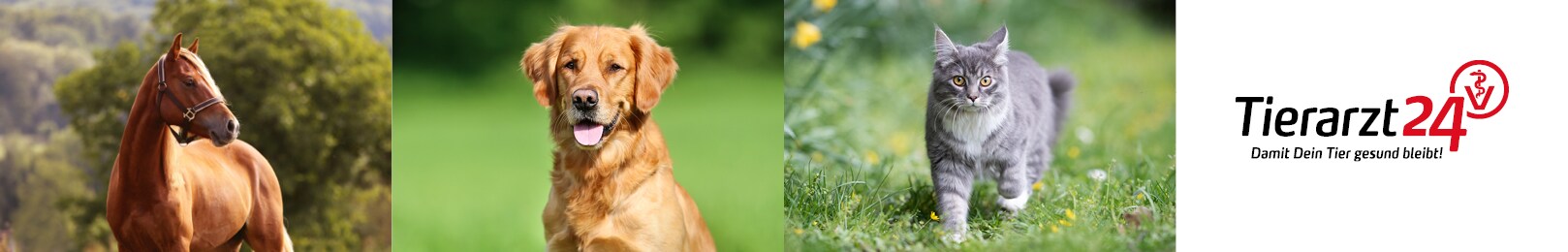 Tierarzt24 Vet Diet