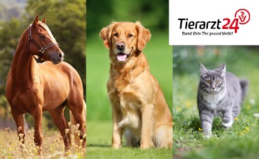 Tierarzt24 Vet Diet