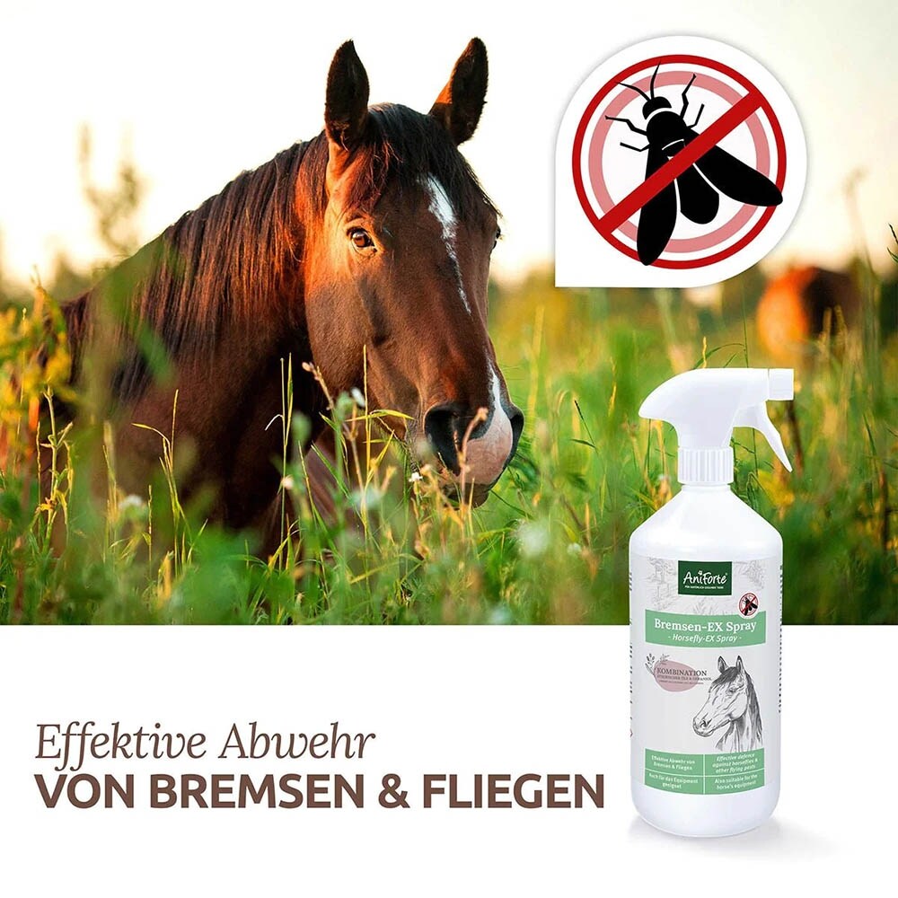 AniForte Bremsen-EX Spray_4