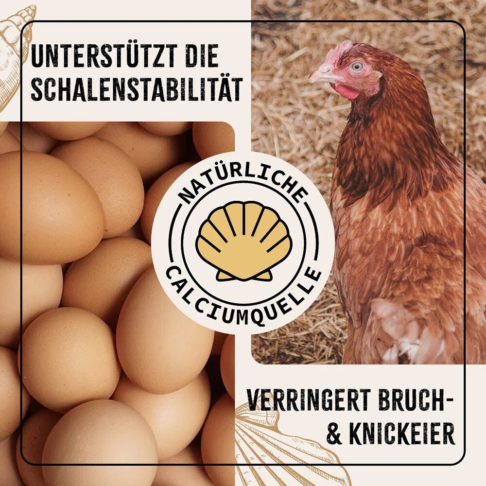 AniForte Muschelgrit _5