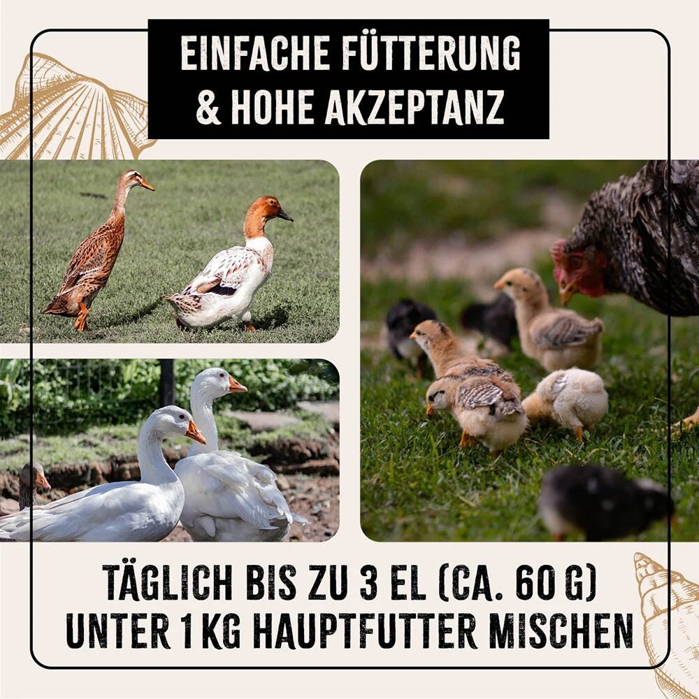 AniForte Muschelgrit _6