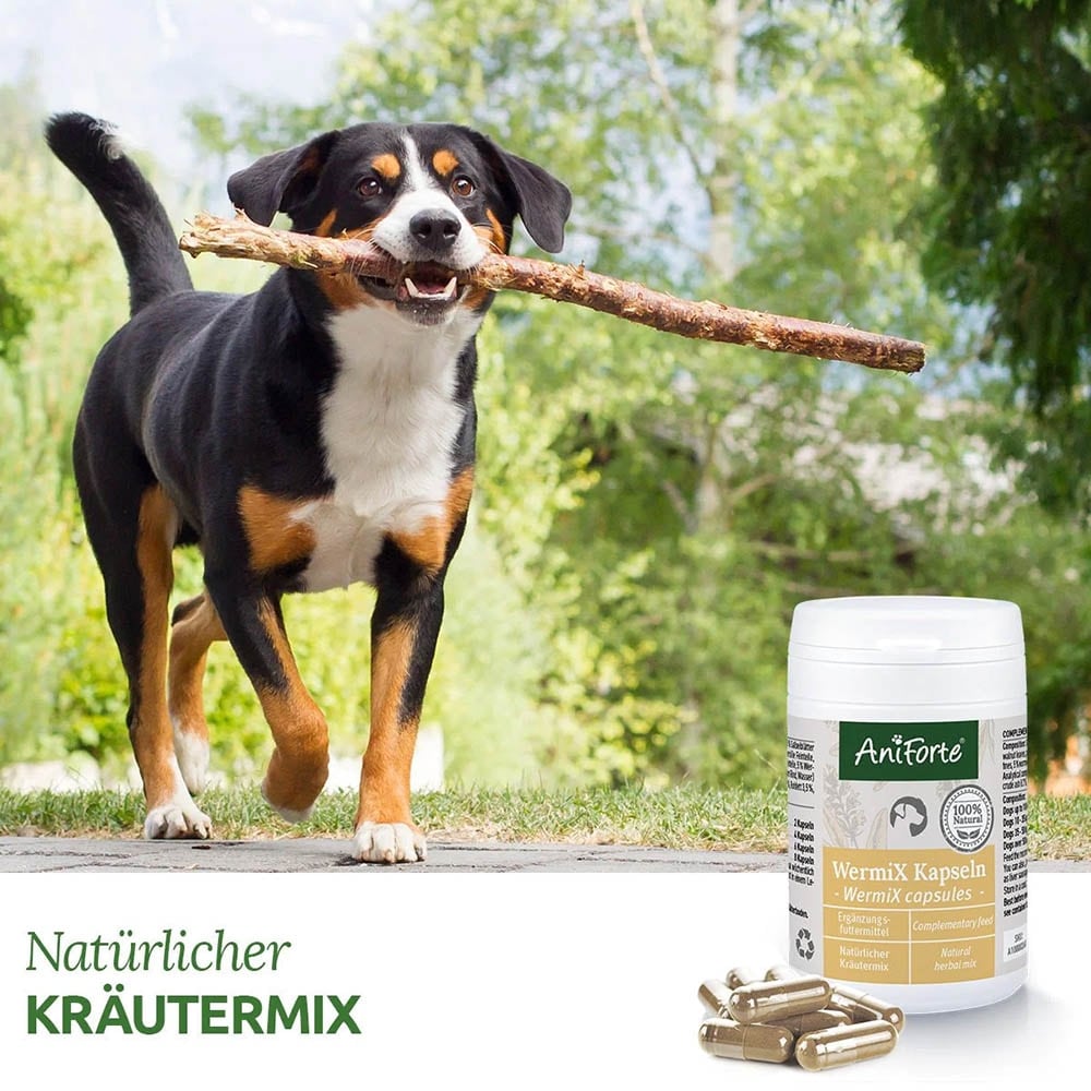 AniForte WermiX Kapseln für Hunde_3