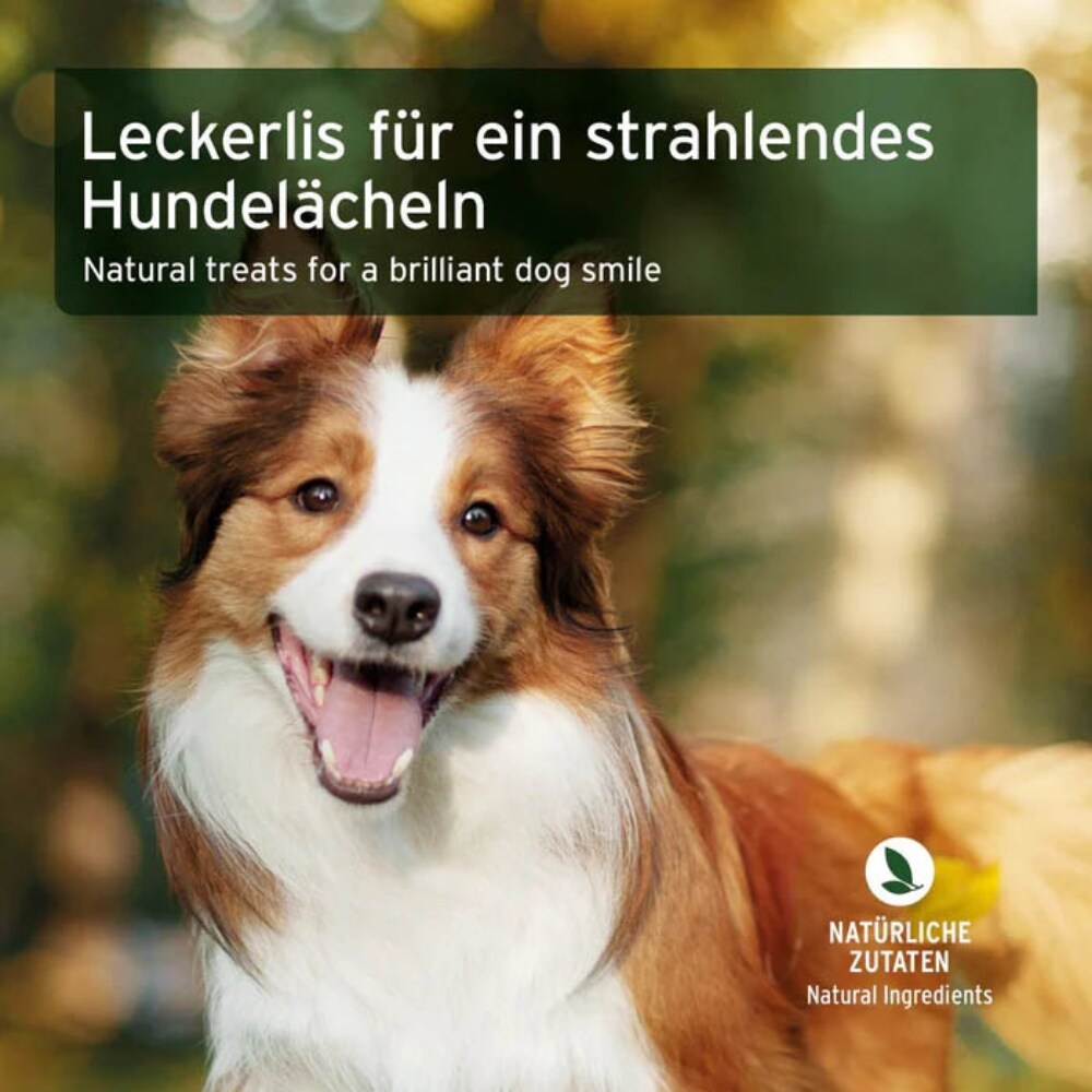 AniForte Denta-Snack_5