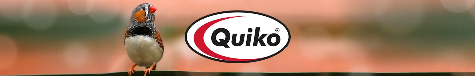 Quiko