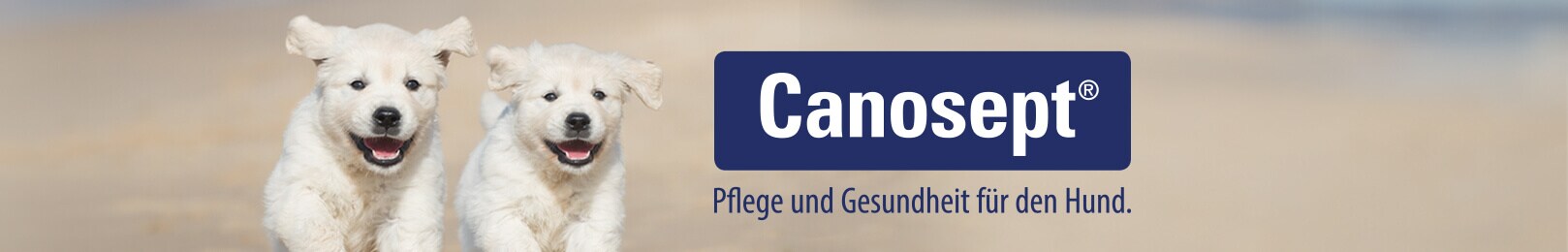 Canosept