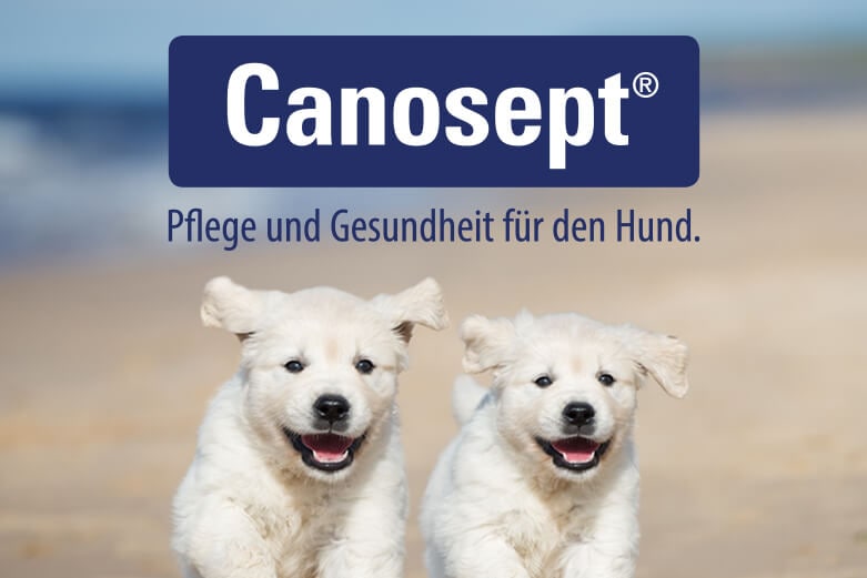 Canosept