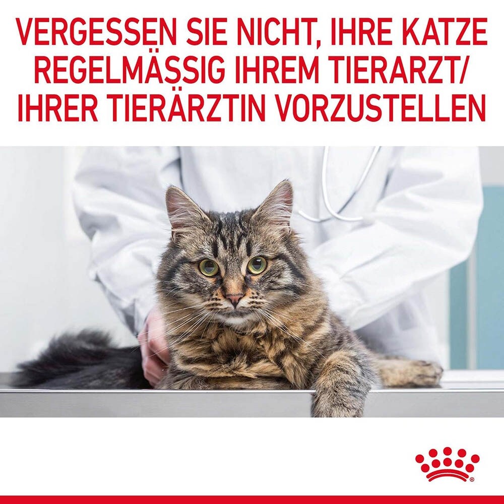 Royal Canin Hairball Care Katzennahrung Feucht gegen Haarballenbildung_8