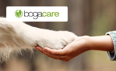 Bogacare