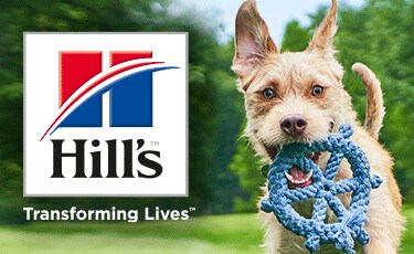 Hill's Pet Nutrition