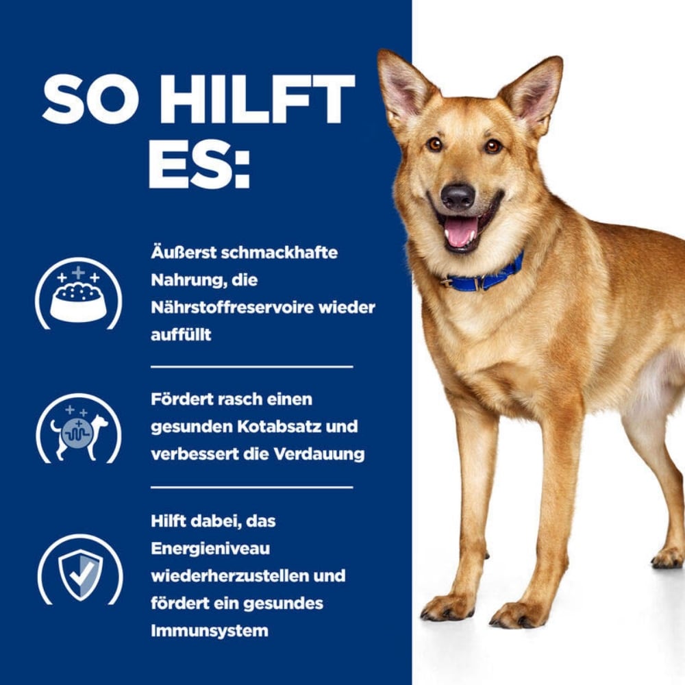 Hills Prescription Diet i/d Hundefutter mit Truthahn 12x200g Dose_2