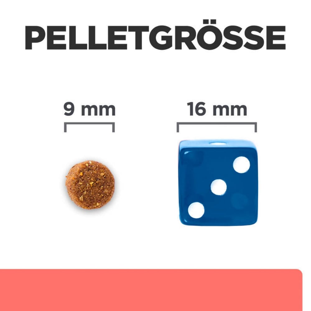 Hills Prescription Diet ON-Care mit Huhn Trockenfutter für Katzen_4