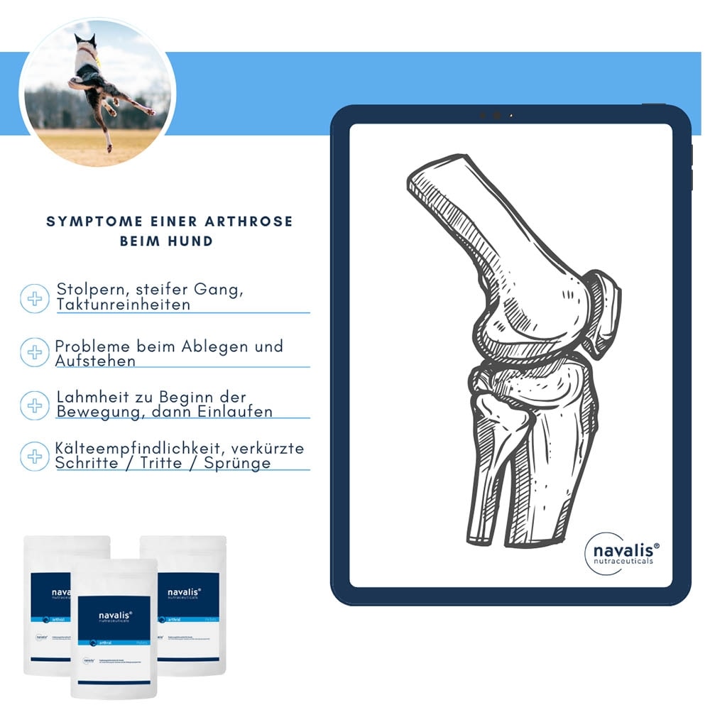 navalis arthral Dog_4