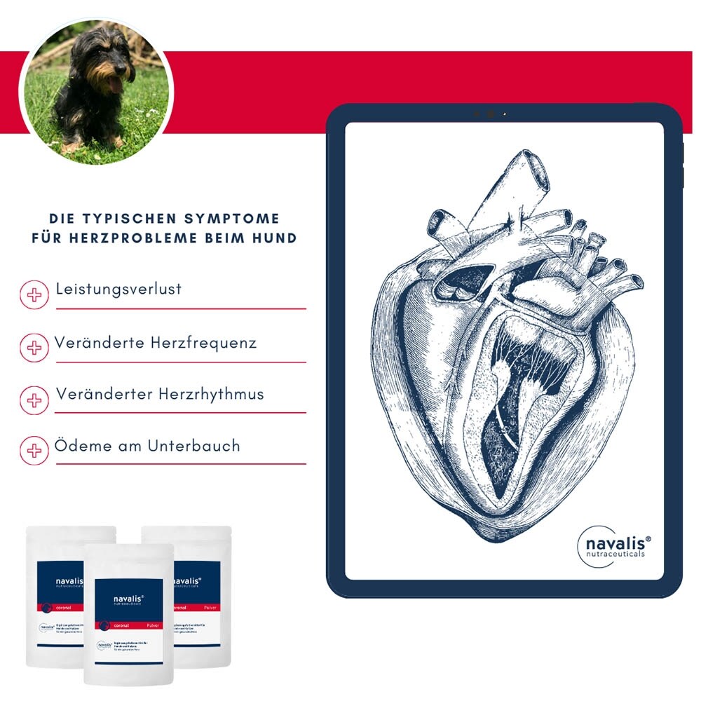 navalis coronal Dog Pulver_5