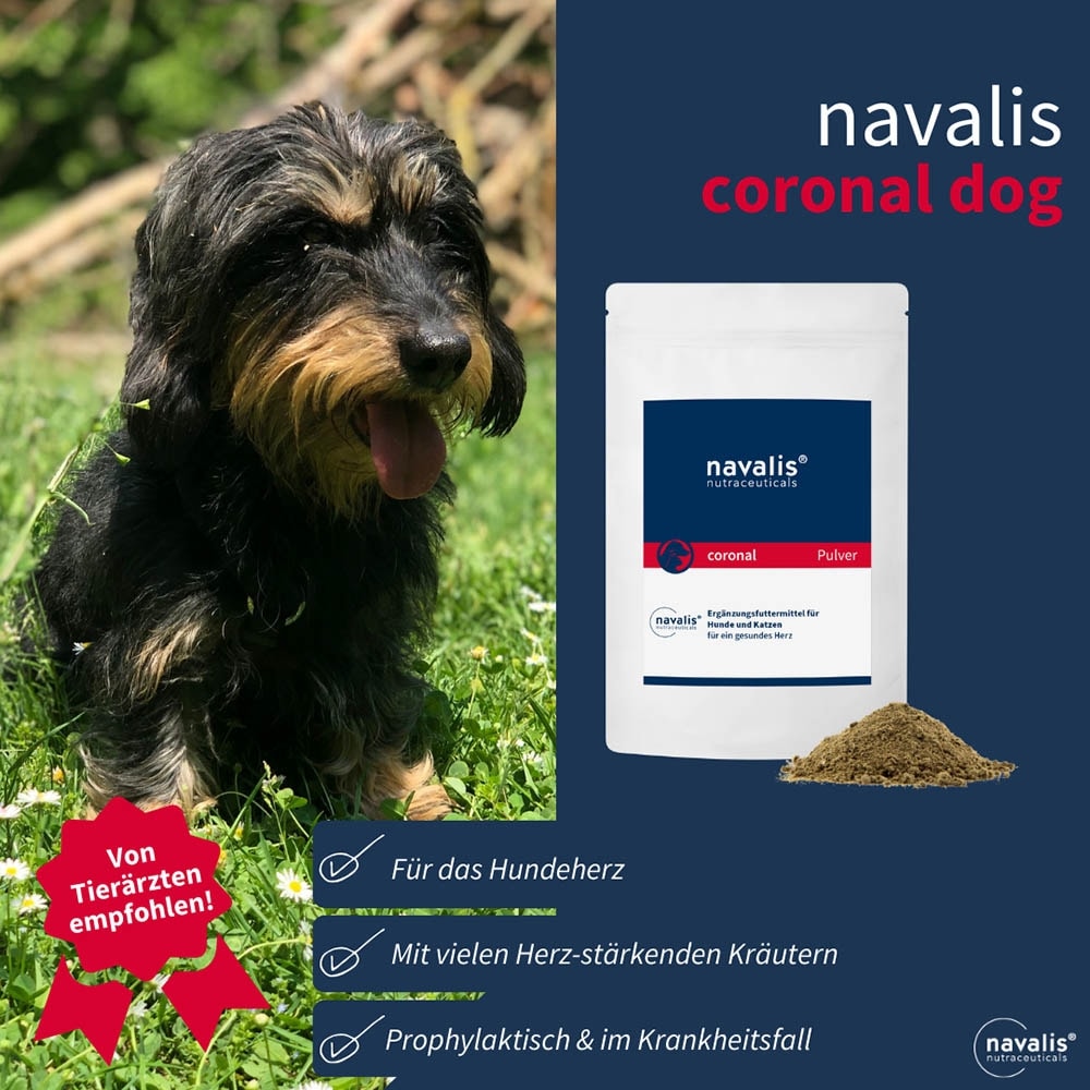 navalis coronal Dog Pulver_3