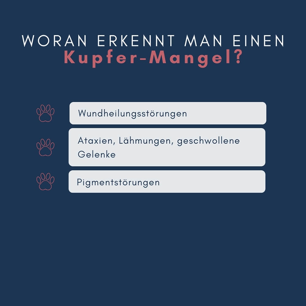 navalis orthosal Kupfer Dog Pulver_4