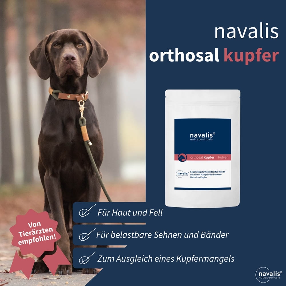 navalis orthosal Kupfer Dog Pulver_3