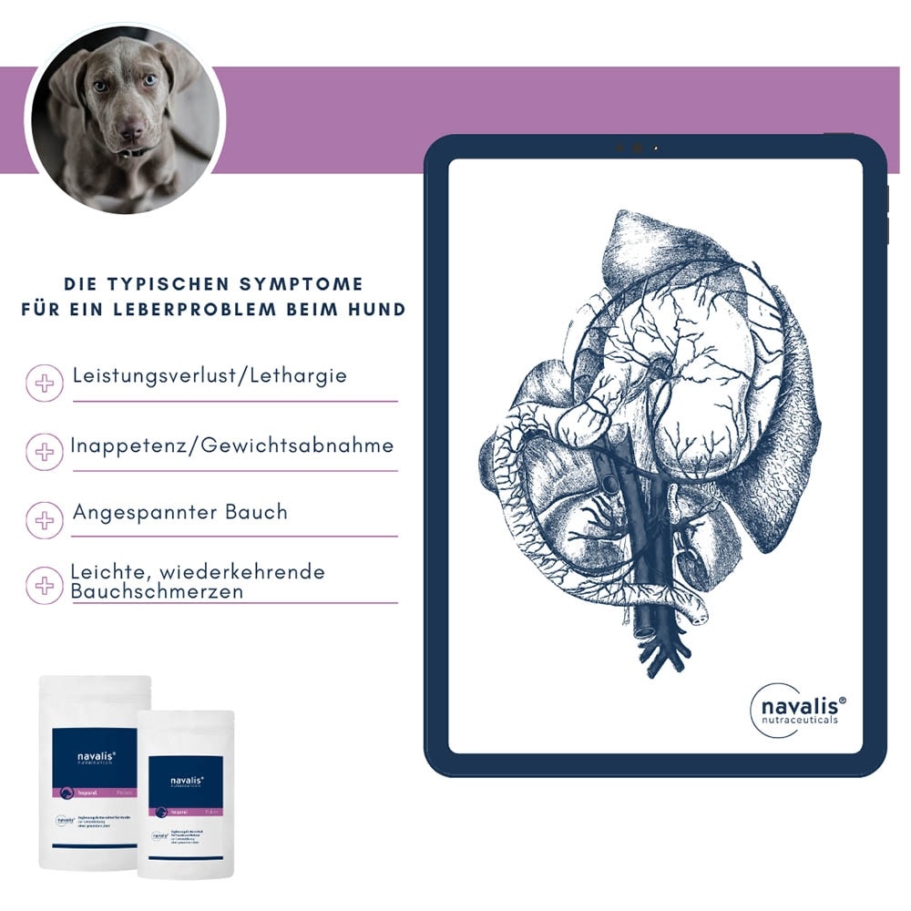 navalis heparal Dog Pulver_5