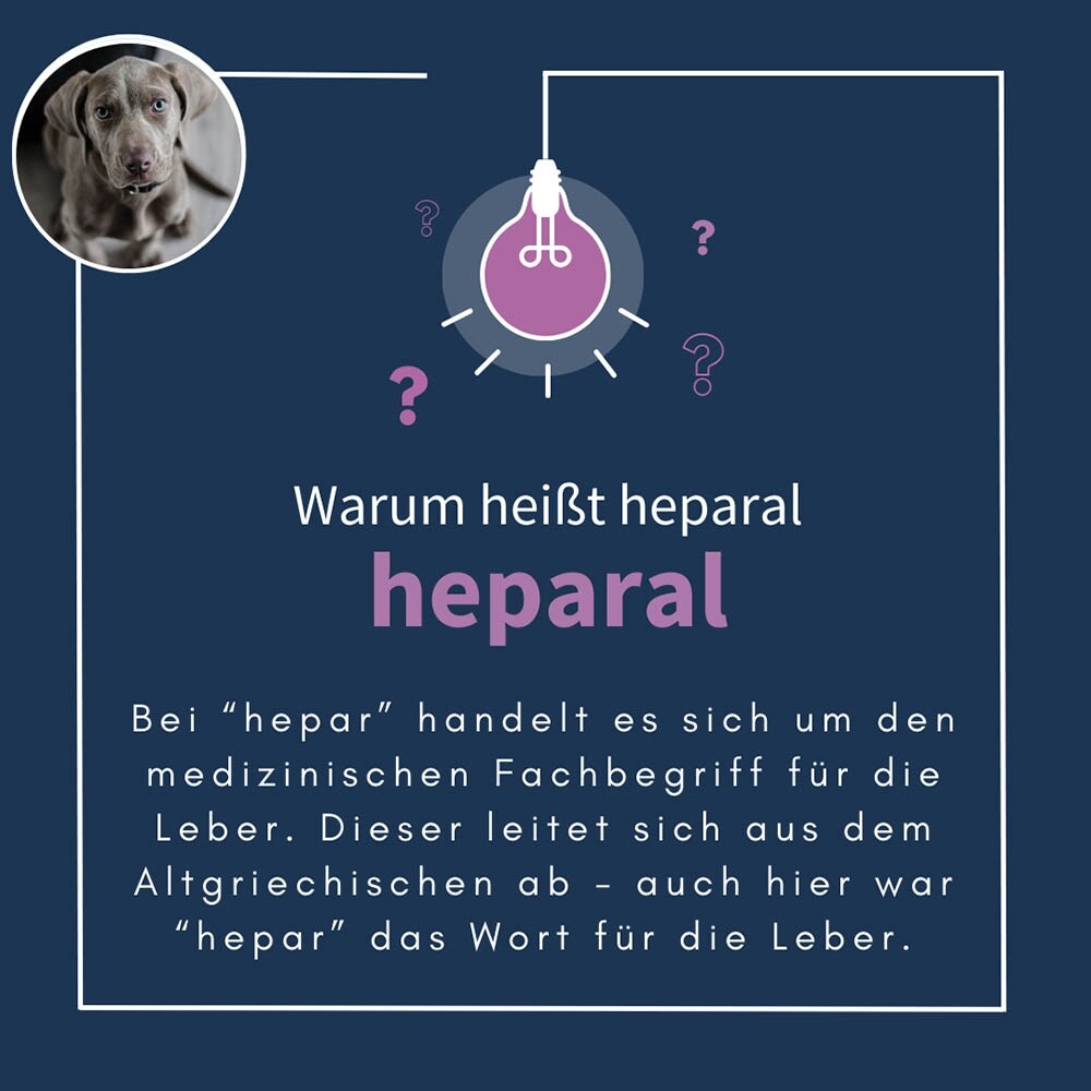 navalis heparal Dog Pulver_7