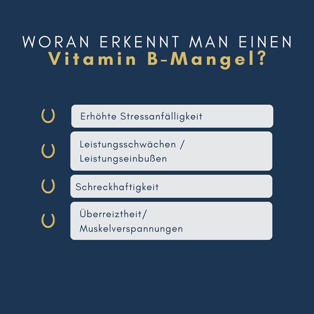 navalis orthosal Vitamin B6 Horse Pulver_4