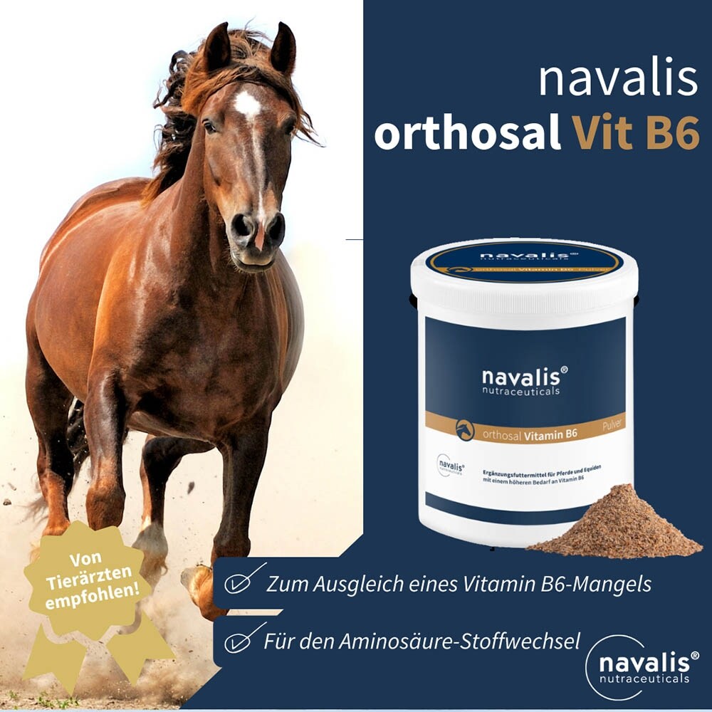 navalis orthosal Vitamin B6 Horse Pulver_3
