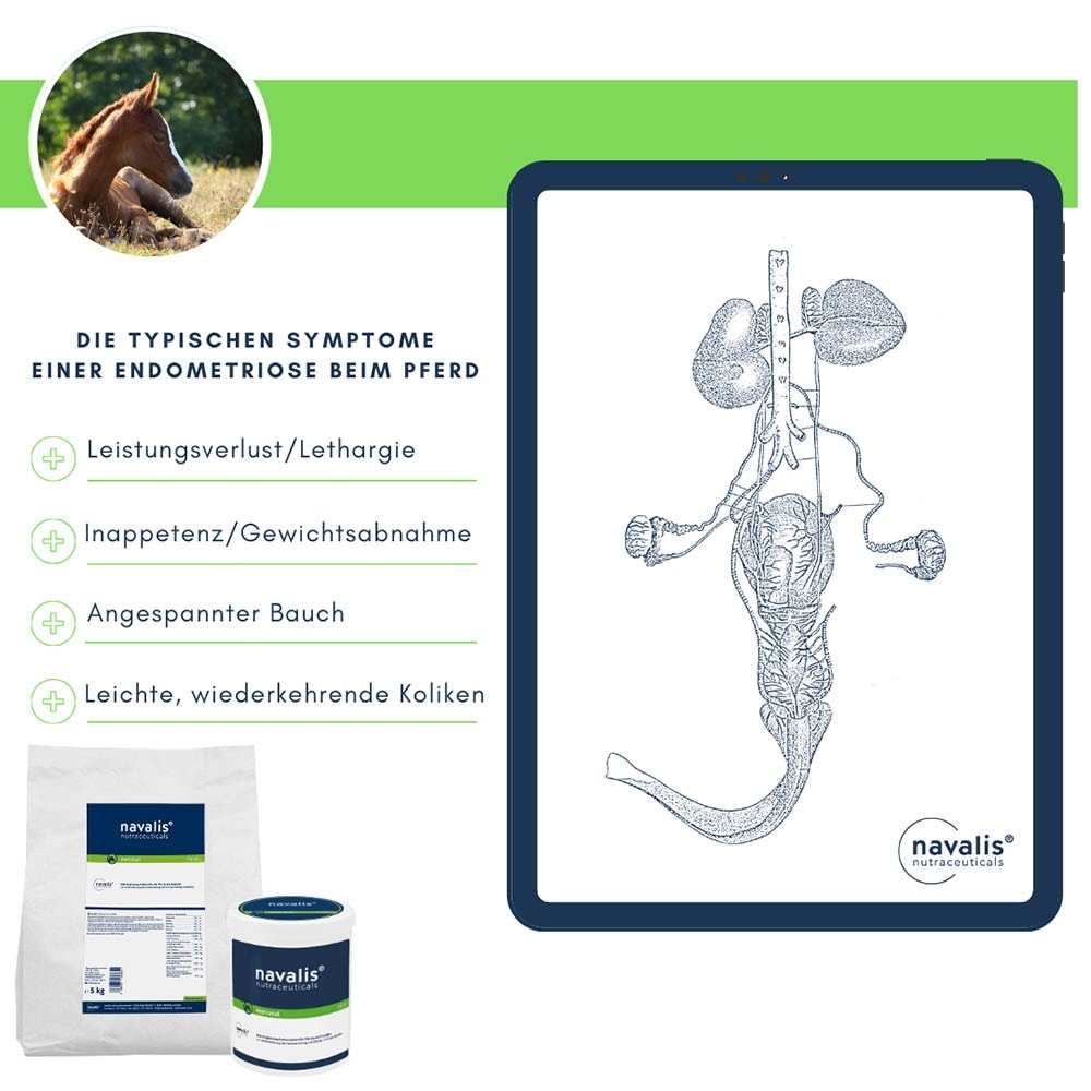 navalis metrasal Horse Pellets_5