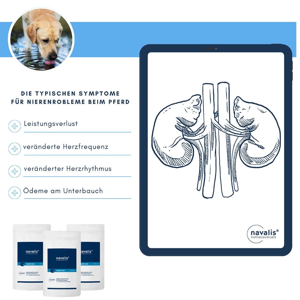 navalis nephrosal Dog Pulver_5