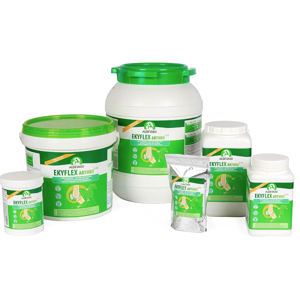 Audevard Ekyflex Arthro EVO_4