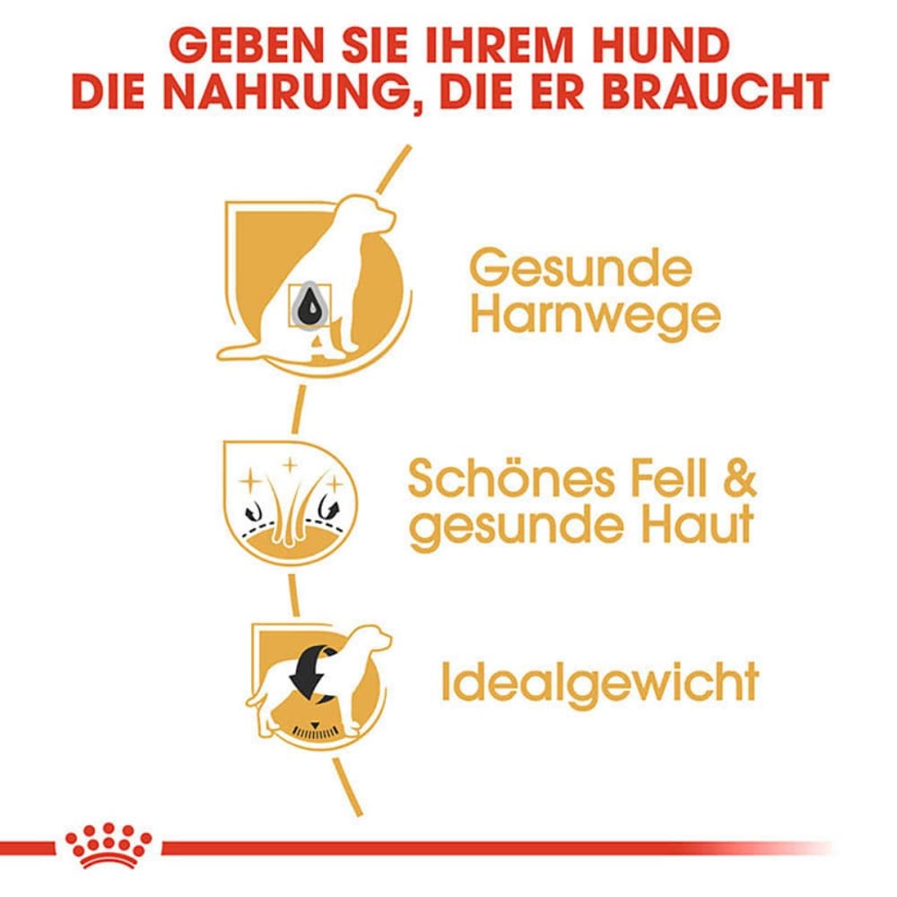 Royal Canin Bichon Frise Adult Hundefutter trocken_4