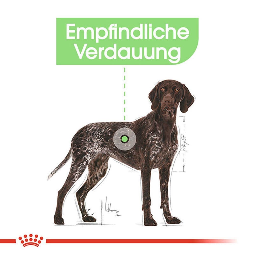 Royal Canin Digestive Care Maxi Trockenfutter für große Hunde mit empfindlicher Verdauung_3