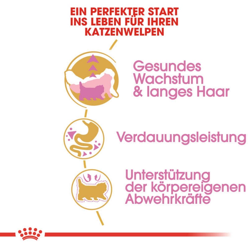 Royal Canin Persian Kittenfutter trocken für Perser-Kätzchen_5
