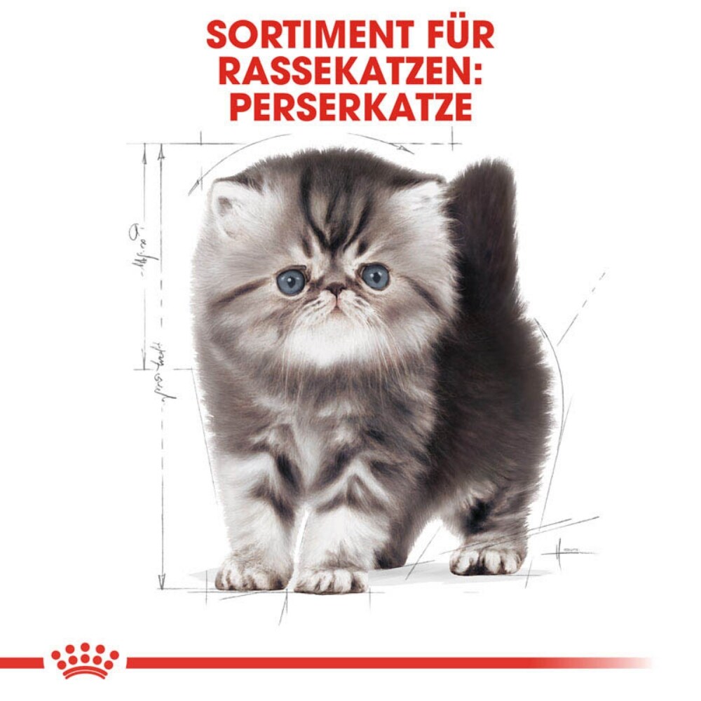 Royal Canin Persian Kittenfutter trocken für Perser-Kätzchen_3