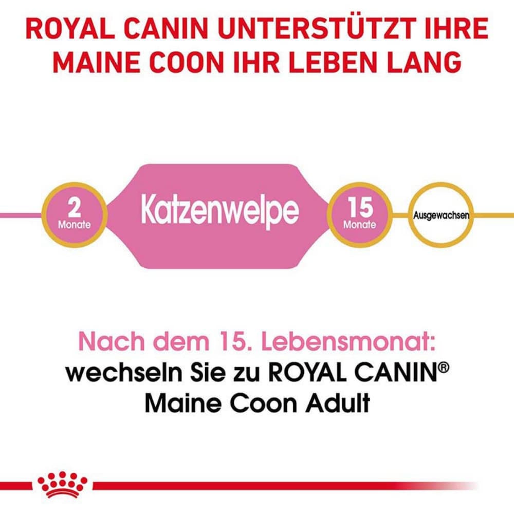 Royal Canin Maine Coon Trockenfutter für Kätzchen_5