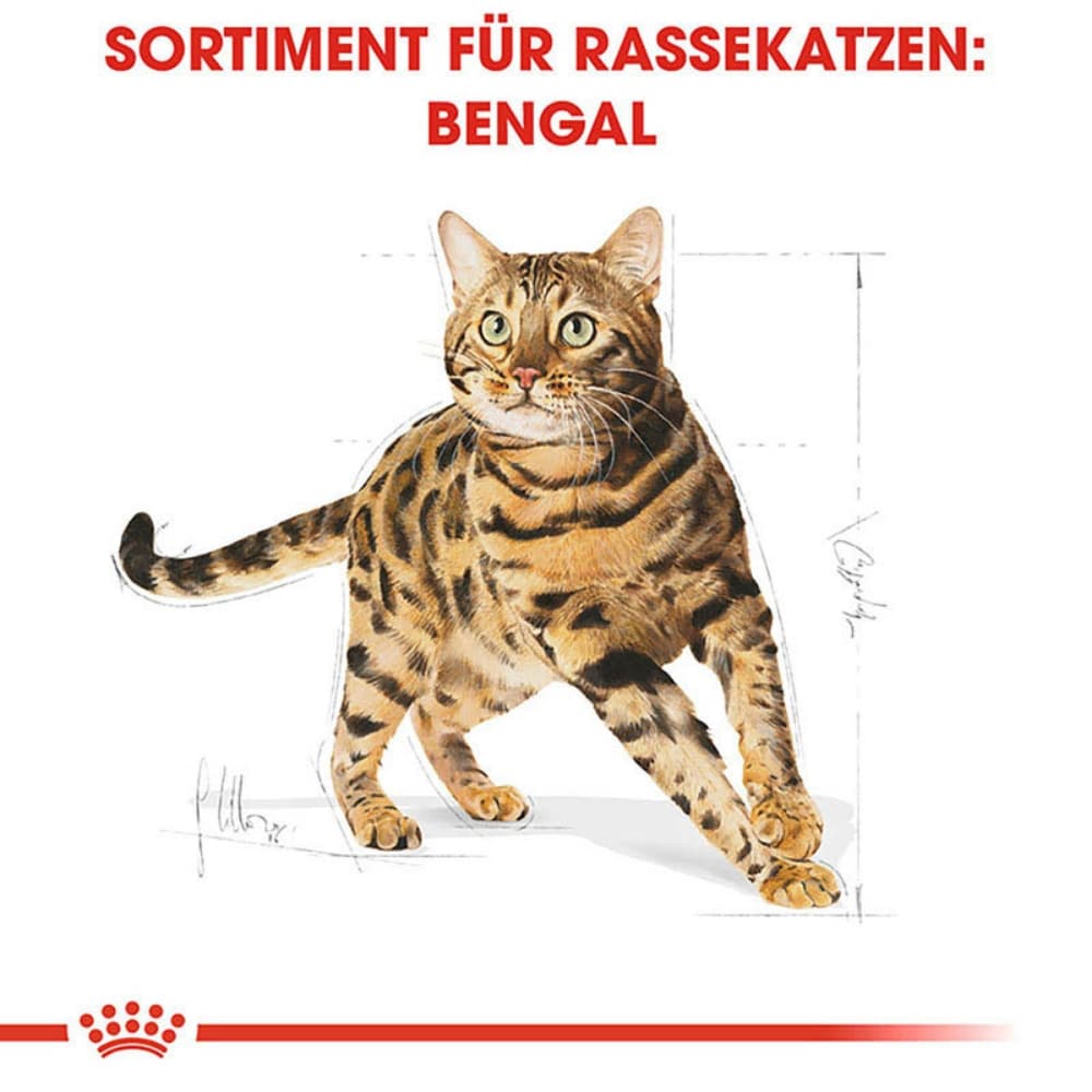 Royal Canin Bengal Adult Katzenfutter trocken_3